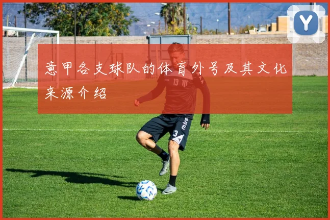 意甲各支球队的体育外号及其文化来源介绍