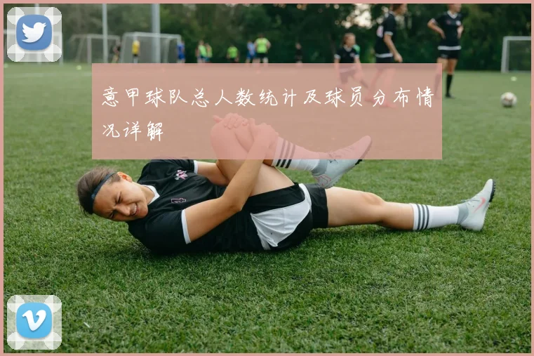 意甲球队总人数统计及球员分布情况详解