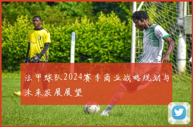 法甲球队2024赛季商业战略规划与未来发展展望