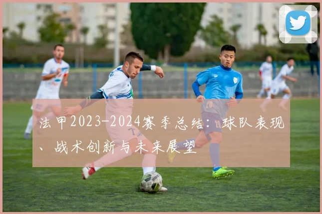 法甲2023-2024赛季总结:球队表现、战术创新与未来展望
