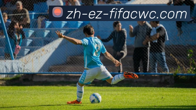 世界杯在线观看平台生态图